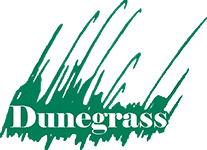 Dunegrass